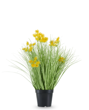 L'herbe d'oignon à fleurs de racine de gazon artificiel est logée dans un pot en plastique noir, avec de longues feuilles fines ressemblant à de l'herbe et des bouquets de petites fleurs jaune vif aux extrémités. La plante artificielle mesure 50 cm de haut, est ignifuge et se dresse sur un fond blanc uni.