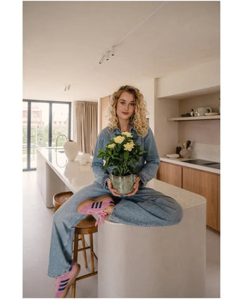 Une femme aux cheveux blonds bouclés, portant des vêtements en jean et des baskets roses, est assise les jambes croisées sur un îlot de cuisine dans une cuisine moderne et ensoleillée, tenant dans ses mains la plante artificielle Gardenia UV 39 cm.