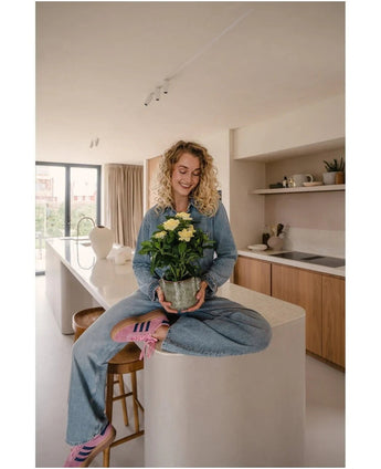 Une femme aux cheveux blonds bouclés, portant un jean et des chaussettes rayées, est assise souriante sur le comptoir de la cuisine tout en tenant la plante artificielle Gardenia UV 39 cm – une plante en pot à fleurs jaunes. En arrière-plan, vous pouvez voir une cuisine moderne avec des armoires et des étagères en bois.