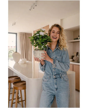 Une femme souriante en tenue en jean tient la plante artificielle artificielle blanche Gardenia UV 39 cm dans une cuisine moderne avec des tabourets en bois, des plans de travail blancs et une décoration neutre.