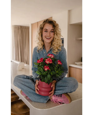 Une femme souriante aux cheveux blonds bouclés est assise les jambes croisées sur un comptoir de cuisine et tient une plante UV de gardénia artificielle de 39 cm de couleur fuchsia. Elle porte une tenue en jean et des baskets roses.