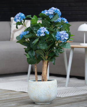 Une plante bleue d'hortensia artificielle UV de 85 cm avec des fleurs bleues et des feuilles vertes se dresse sur un parquet en bois devant un canapé gris et une petite table ronde avec une lampe blanche.