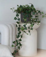 Un lierre artificiel Deluxe Green, un lierre suspendu de 90 cm dans un pot gris, se dresse sur une base sculpturale blanche et moderne à côté d'une couverture blanche pliée et d'un coussin structuré blanc.