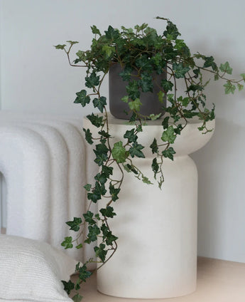 Un lierre artificiel Deluxe Green, un lierre suspendu de 90 cm dans un pot gris, se dresse sur une base sculpturale blanche et moderne à côté d'une couverture blanche pliée et d'un coussin structuré blanc.