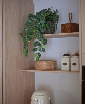 Une étagère de cuisine avec le Fittonia artificiel suspendu vert-blanc dans un pot (70 cm), une plante suspendue, à côté d'un panier en osier, deux pots avec étiquettes et un petit appareil en dessous, le tout sur fond d'armoires en bois clair.