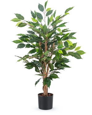 La plante artificielle Ficus Green 90 cm a plusieurs tiges brunes et des feuilles vertes luxuriantes dans un simple pot noir - idéale comme plante de bureau élégante.