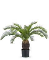 La plante artificielle Baby Cycas Palm 60 cm possède de longues feuilles vertes arquées et un tronc brun épais et texturé, présenté dans un pot sur un fond blanc uni.