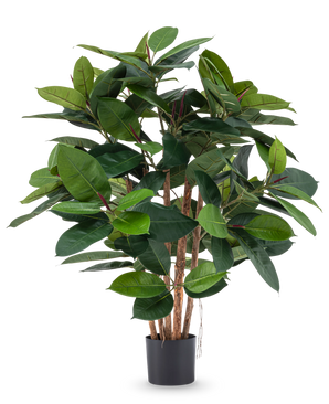 La plante artificielle en caoutchouc de luxe de 90 cm a plusieurs tiges en bois et de grandes feuilles vertes brillantes dans un pot noir - idéal pour ajouter une élégance réaliste à n'importe quelle pièce.
