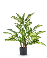 La plante artificielle Dieffenbachia UV 75 cm présente de hautes tiges vertes et de grandes feuilles pointues aux nuances panachées jaune-vert clair dans un pot décoratif élégant, sur un fond blanc uni.