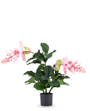 La plante artificielle Medinilla 60 cm a de grandes feuilles vert foncé et deux tiges hautes avec des grappes de fleurs roses qui ressemblent à de l'hibiscus et se dressent sur un fond blanc uni.