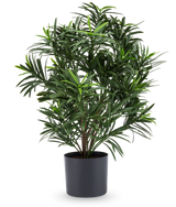 La plante artificielle Podocarpus 47 cm a des feuilles longues et étroites et est présentée dans un pot sombre et élégant, ce qui en fait une plante d'intérieur élégante pour n'importe quelle pièce. Sur un fond blanc, il ajoute une verdure luxuriante à votre pièce.