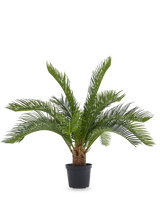 De Kunstpalm Baby Cycus 45 cm heeft lange groene bladeren en een dikke stam in een zwarte pot. Deze onderhoudsvrije kunstplant is een stijlvolle keuze voor elk interieur, vooral tegen een witte achtergrond.