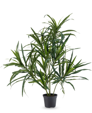 La Plante Artificielle Dracaena Reflexa en pot UV 63 cm possède de longues feuilles vertes fines sur de fines tiges, idéales pour donner une touche tropicale à votre intérieur sur un fond blanc uni.