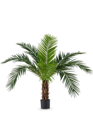 De Kunstpalm Phoenix Canarie 160 cm met lange groene bladeren en tropische uitstraling staat in een pot tegen een witte achtergrond. Deze kunstpalm brengt direct een tropisch sfeertje in elke ruimte.