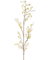 La Fleur Artificielle Verveine 157 cm crème possède une longue tige fine et brune avec de petits bouquets de délicates fleurs de couleur crème et quelques feuilles vertes, sur un fond uni blanc.