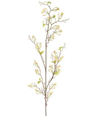 La Fleur Artificielle Verveine 157 cm crème possède une longue tige fine et brune avec de petits bouquets de délicates fleurs de couleur crème et quelques feuilles vertes, sur un fond uni blanc.