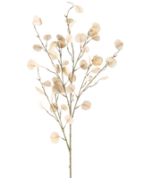 De Kunstbloem Eucalyptus 119 cm crème heeft slanke stelen met ronde, licht crème bladeren tegen een eenvoudige witte achtergrond.