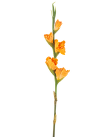La Fleur Artificielle Glaïeul 83 cm orange possède une longue tige verte avec plusieurs fleurs de glaïeul orange sur fond blanc.