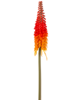 La Fleur Artificielle Torch Lily 80 cm orange a une grande fleur artificielle avec une longue tige verte et une grappe de pétales orange en forme de cône, sur un fond blanc uni.