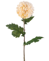 La Fleur Artificielle Dahlia 75 cm crème a une seule tige avec une grande fleur de dahlia ronde crème et plusieurs feuilles vertes dentelées sur fond blanc.