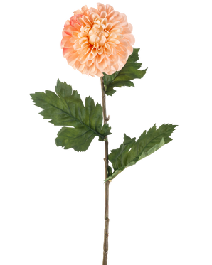 La fleur artificielle Dahlia 75 cm pêche a un dahlia de couleur pêche avec des pétales superposés et trois bouquets de feuilles vertes dentelées sur une longue tige, représentées sur un fond blanc.