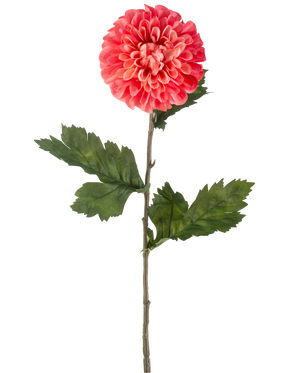 La Fleur Artificielle Dahlia 75 cm rouge est une seule fleur de dahlia rouge artificielle avec des pétales superposés et plusieurs feuilles vertes sur une longue tige verte, isolée sur fond blanc.