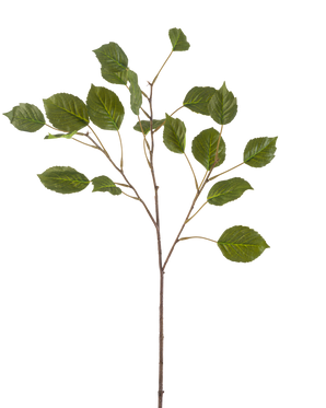 La branche d'hortensia artificielle 75 cm verte possède une tige élancée avec plusieurs branches plus petites, chacune décorée de plusieurs feuilles vertes de forme ovale, sur un fond blanc uni.