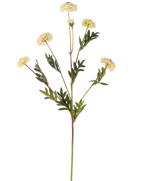 La fleur artificielle Pompon chrysanthème 69 cm crème/rose a une tige unique avec de multiples fleurs rose crème ressemblant à des marguerites et des feuilles vertes en forme de fougère sur un fond blanc uni.