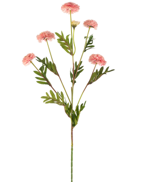 La fleur artificielle Pompon chrysanthème 69 cm rose a une seule tige avec plusieurs fleurs pompon rondes rose clair et des feuilles vertes ressemblant à des fougères sur un fond blanc.