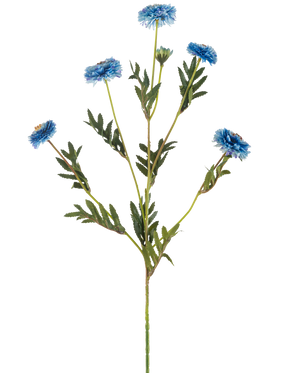 La Fleur Artificielle Pompon Chrysanthème 69 cm bleu a une seule tige verte avec plusieurs branches, six fleurs artificielles bleues avec des coeurs jaunes et des feuilles vertes étroites, le tout sur un fond blanc.