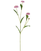 La fleur artificielle Summer Aster 57 cm mauve a une longue tige verte mince avec trois fleurs mauves ressemblant à des marguerites et des feuilles vertes allongées qui se ramifient, le tout sur un fond blanc uni.