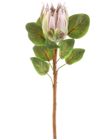 De Kunstbloem Protea 65 cm lichtroze heeft een enkele lichtroze protea bloem met meerdere groene bladeren tegen een effen witte achtergrond.