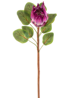La Fleur Artificielle Protea 65 cm violette possède une seule fleur artificielle de protéa violette avec des feuilles vertes et une longue tige brune, sur un fond blanc.
