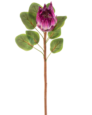 La Fleur Artificielle Protea 65 cm violette possède une seule fleur artificielle de protéa violette avec des feuilles vertes et une longue tige brune, sur un fond blanc.