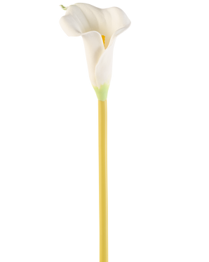 La Fleur Artificielle Calla 64 cm crème est un simple lys calla artificiel blanc avec une longue tige jaune, sur un fond blanc uni.