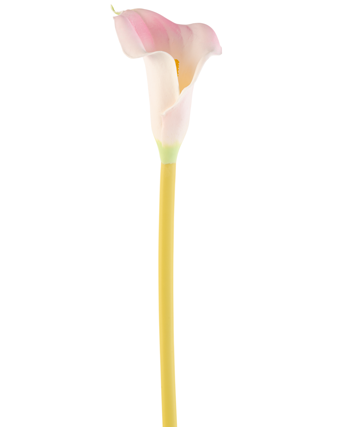 La fleur artificielle Calla 64 cm blush, un seul lys calla rose et blanc avec une tige jaune, est présentée sur un fond blanc uni.