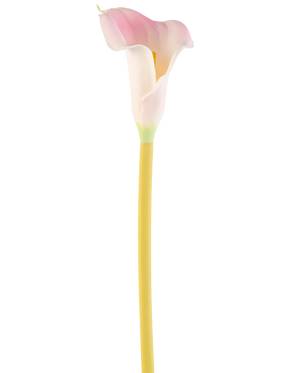 La fleur artificielle Calla 64 cm blush, un seul lys calla rose et blanc avec une tige jaune, est présentée sur un fond blanc uni.