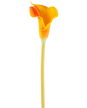 La Fleur Artificielle Calla 64 cm orange possède un seul lys calla orange avec une tige longue et fine, isolée sur un fond blanc.