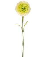 L'œillet artificiel vert clair de 57 cm est un œillet artificiel vert clair avec des volants dans les pétales et une longue tige, représenté sur un fond blanc uni.