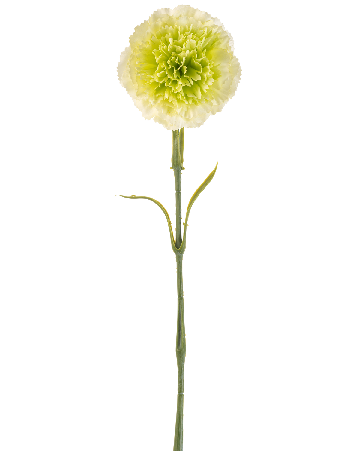 L'œillet artificiel vert clair de 57 cm est un œillet artificiel vert clair avec des volants dans les pétales et une longue tige, représenté sur un fond blanc uni.