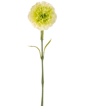 L'œillet artificiel vert clair de 57 cm est un œillet artificiel vert clair avec des volants dans les pétales et une longue tige, représenté sur un fond blanc uni.