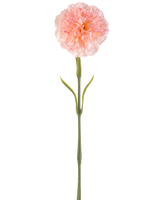 Fleur artificielle Oeillet 57 cm rougissant : Un seul œillet artificiel rose clair avec des pétales plissés sur une longue tige verte et deux paires de feuilles minces, représenté sur un fond blanc.