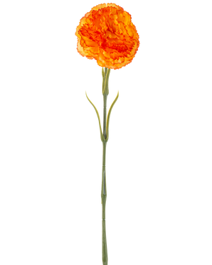 L'Oeillet Fleur Artificielle 57 cm orange est un oeillet artificiel orange avec des volants dans les pétales et une longue tige verte, isolé sur fond blanc.