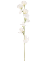 Une seule fleur artificielle de pois crème de 64 cm a de multiples fleurs délicates blanc crème sur des tiges vert clair, sur un fond blanc uni.