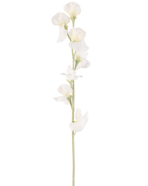 Une seule fleur artificielle de pois crème de 64 cm a de multiples fleurs délicates blanc crème sur des tiges vert clair, sur un fond blanc uni.