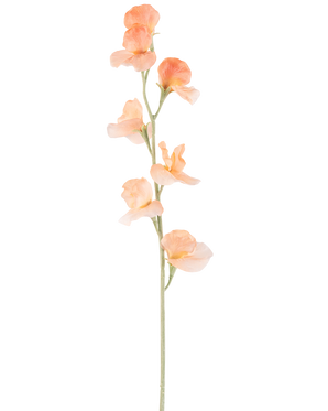Une seule fleur artificielle de pois pêche de 64 cm a un pois artificiel de couleur pêche clair avec des volants dans les pétales et une tige verte, isolée sur du blanc.