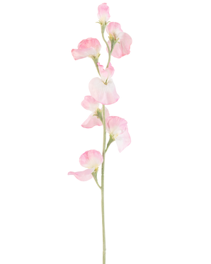 Une seule fleur de pois artificiel, de 64 cm de haut, avec des pétales rose clair et une tige vert clair, isolée sur fond blanc.