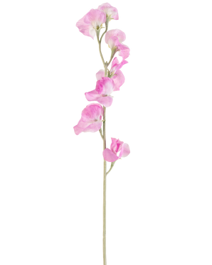 Une seule fleur artificielle de pois rose de 64 cm a des pétales roses délicats et une tige vert clair, sur un fond blanc uni.