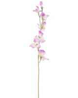 Une seule longue fleur de pois artificiel de 64 cm à tige violette avec de délicates fleurs violettes disposées verticalement, sur un fond blanc uni.