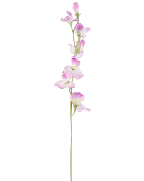 Une seule longue fleur de pois artificiel de 64 cm à tige violette avec de délicates fleurs violettes disposées verticalement, sur un fond blanc uni.